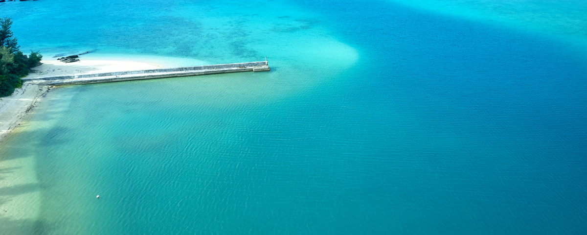 dji_0519.jpg