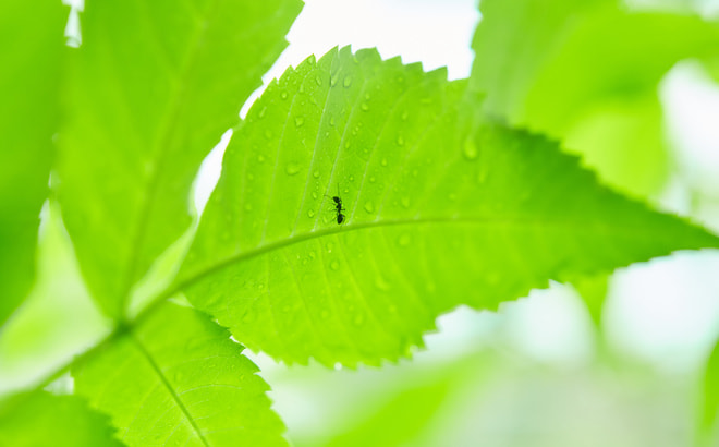 _mg_3163_1.jpg